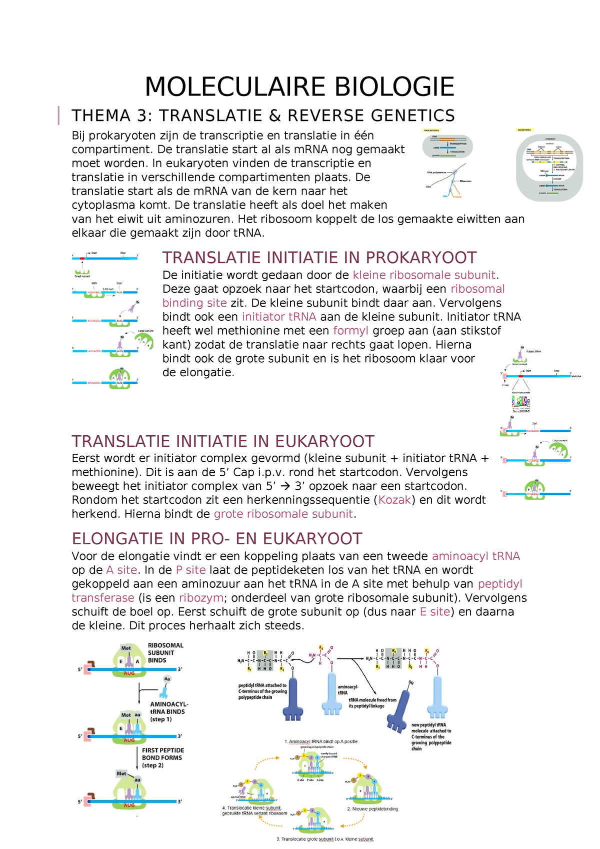 Molbio Thema 3 - Samenvatting Moleculaire Biologie - MOLECULAIRE ...