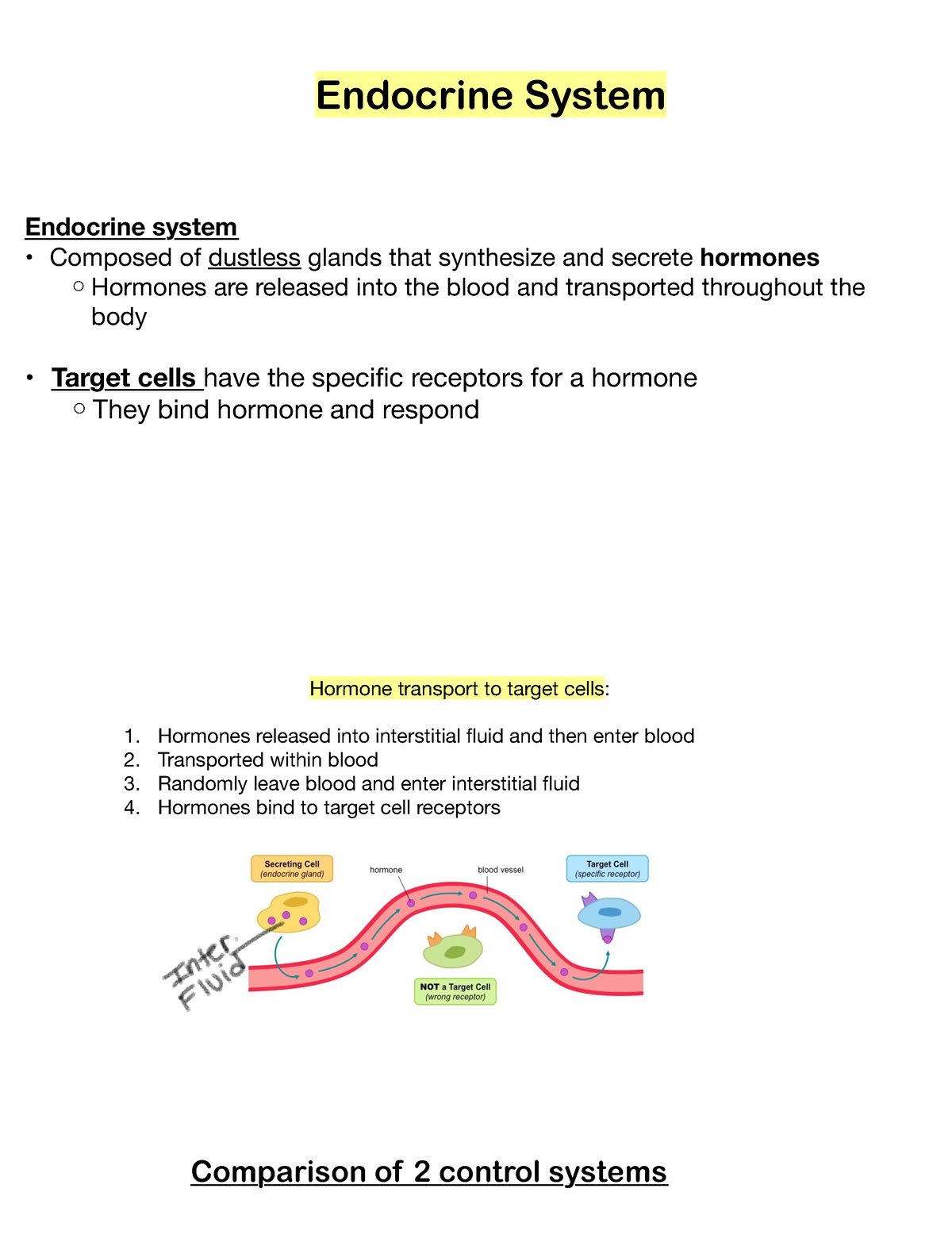 Note Sep 17, 2023 - Lecture notes endocrine system - Endocrine System ...