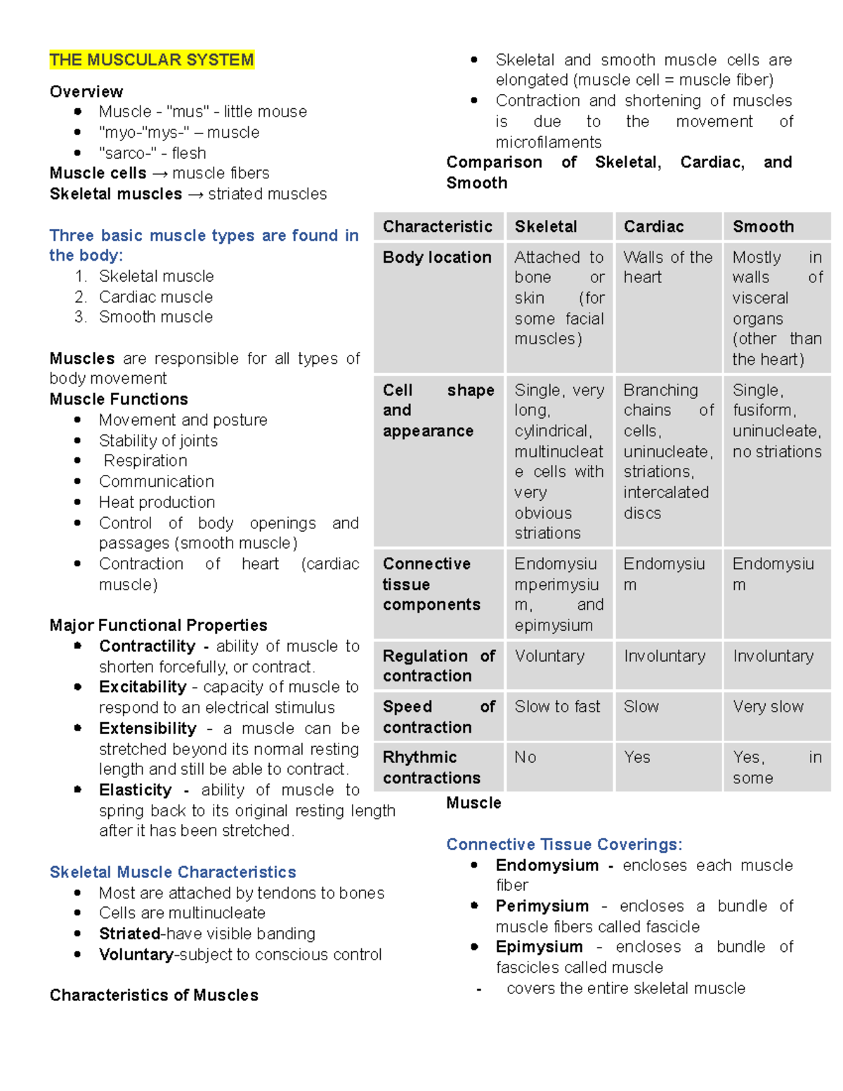 C-6THE Muscular System - THE MUSCULAR SYSTEM Overview Muscle - 