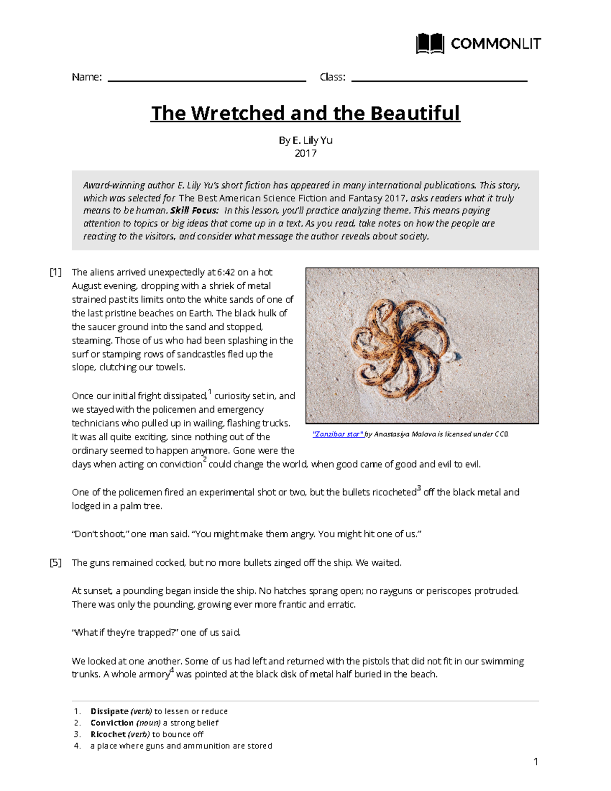 The Wretched and the Beautiful Name Class "Zanzibar star" by