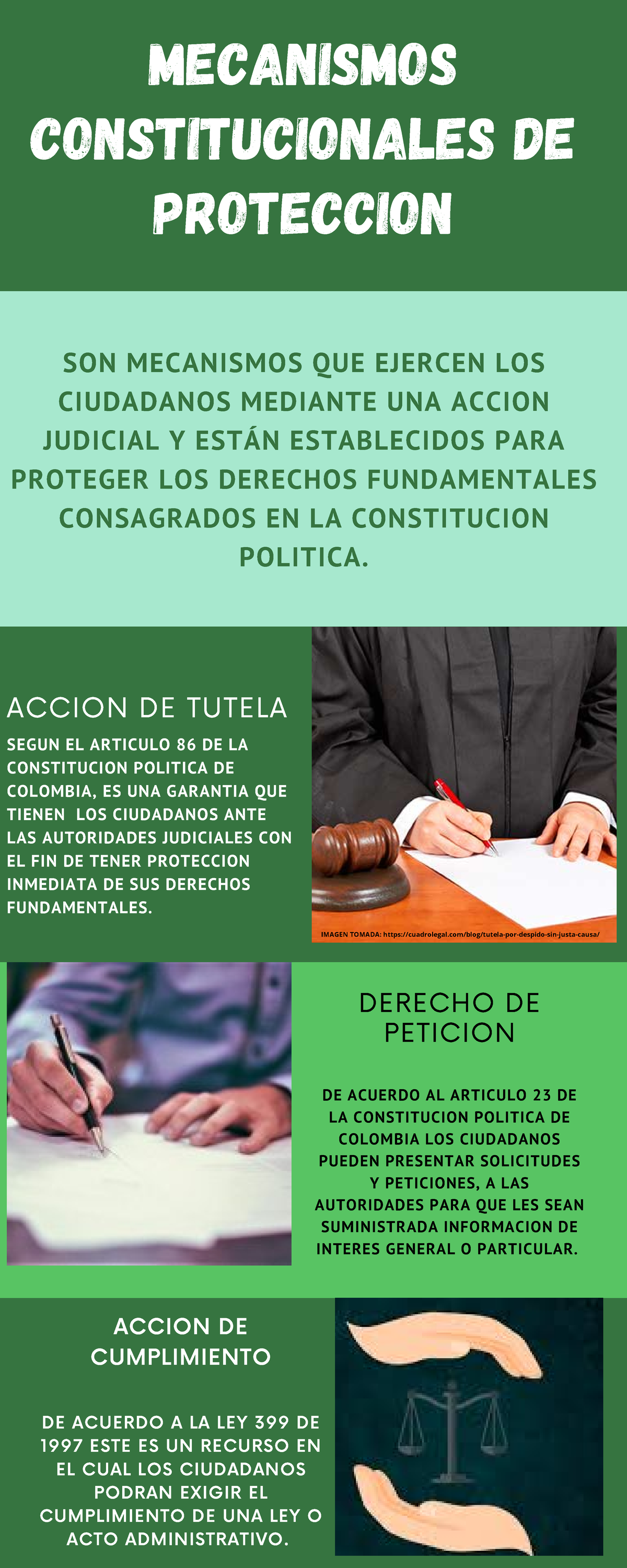 Mecanismos Constitucionales De Proteccion Infografia Mecanismos Constitucionales De Proteccion 1353