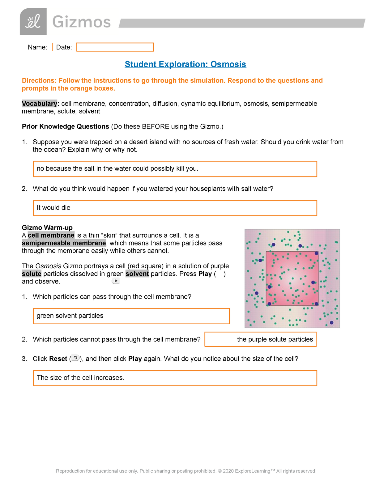 Student Exploration Osmosis Worksheet Answers