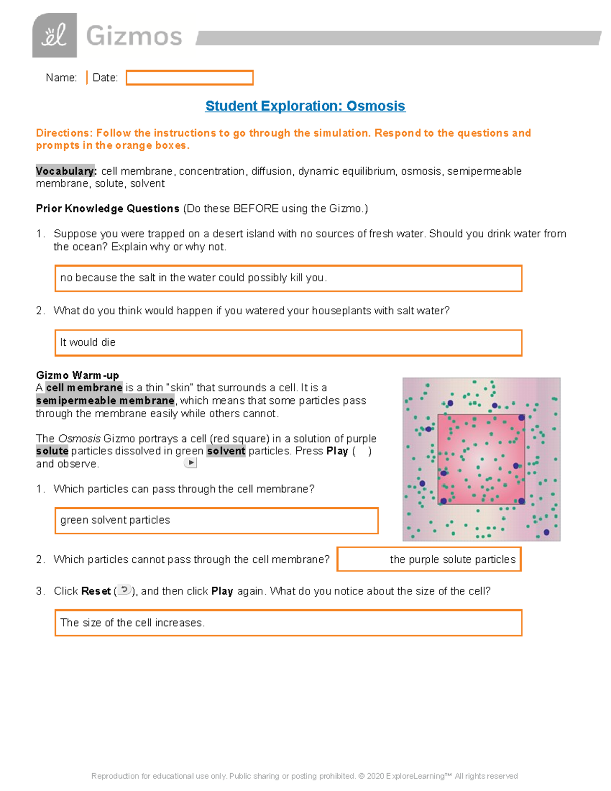 Student Exploration Osmosis Worksheet Answers