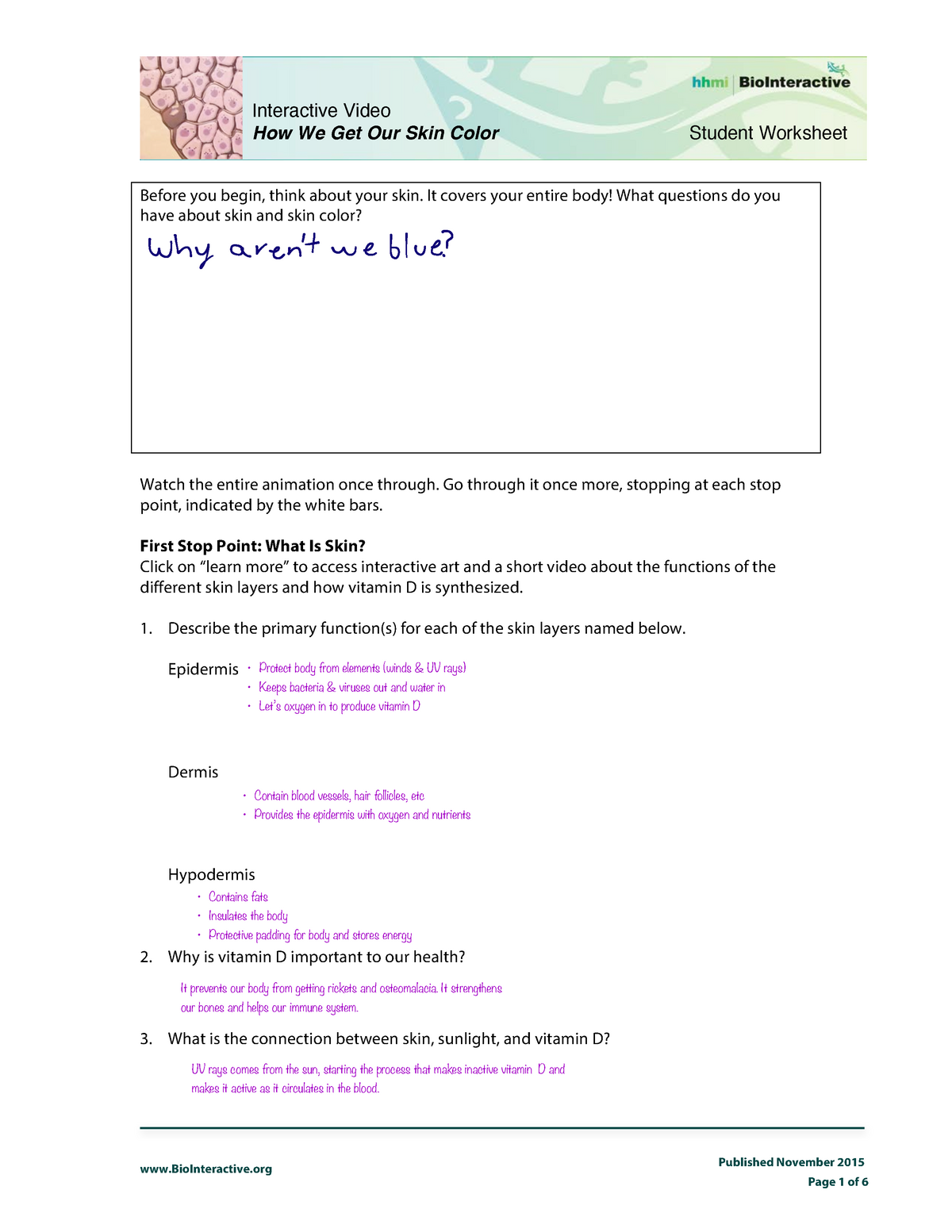 How We Get Our Skin Color BioInteractive Student Worksheet How We Get 