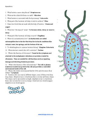 Prokaryote Cell Coloring Pages