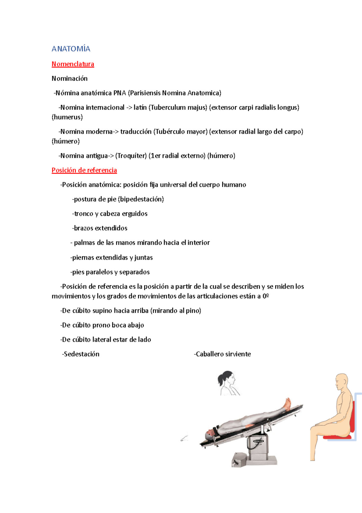 Tema 1: Posición Anatómica, Ejes Y Planos - ANATOMÍA Nomenclatura ...