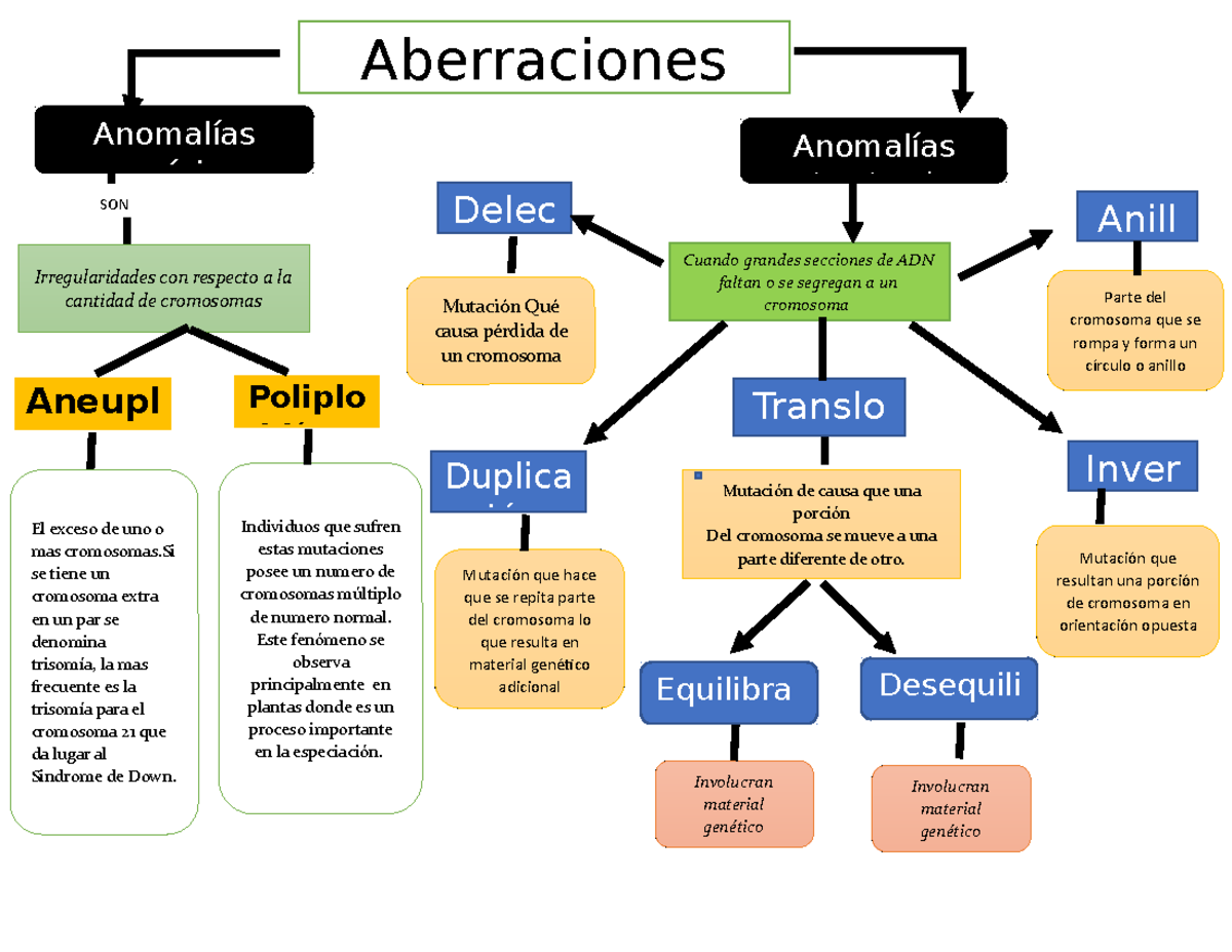 Aberraciones Cromosomicas Genética - Biología Celular Y Molecular ...