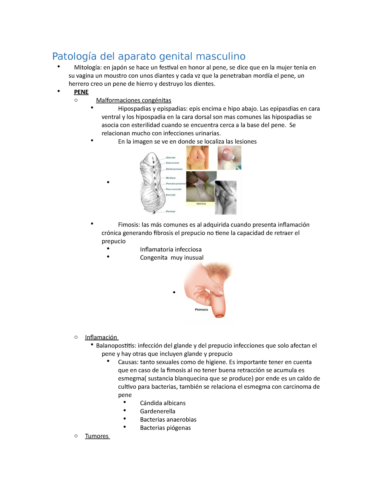 Patología del aparato genital masculino - Patología del aparato genital  masculino  Mitología: en - Studocu