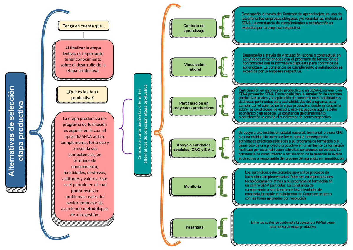 Cuadro Sinóptico Sobre Las Alternativas De La Etapa Productiva Alternativas De Selección Etapa 9309
