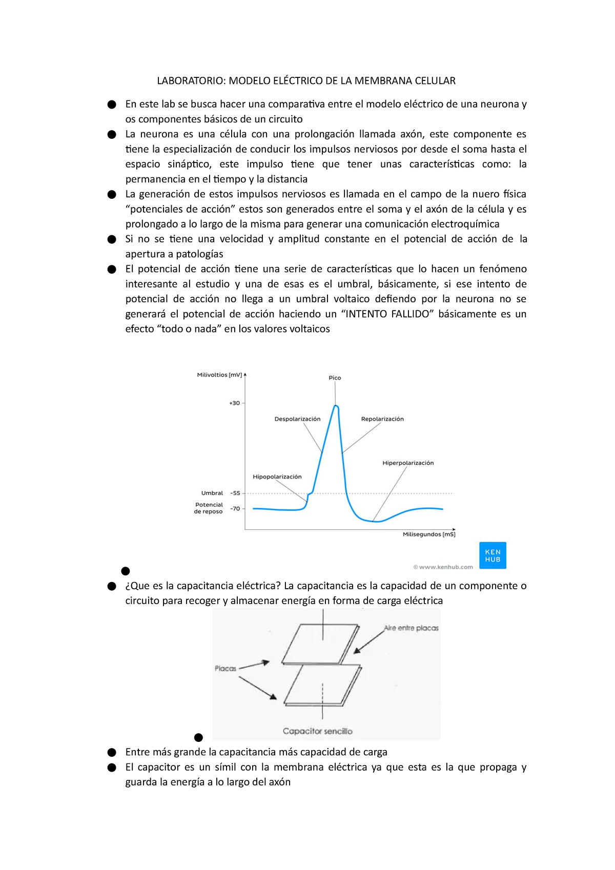 Laboratorio: Modelo Eléctrico DE LA Membrana Celular - LABORATORIO: MODELO  ELÉCTRICO DE LA MEMBRANA - Studocu