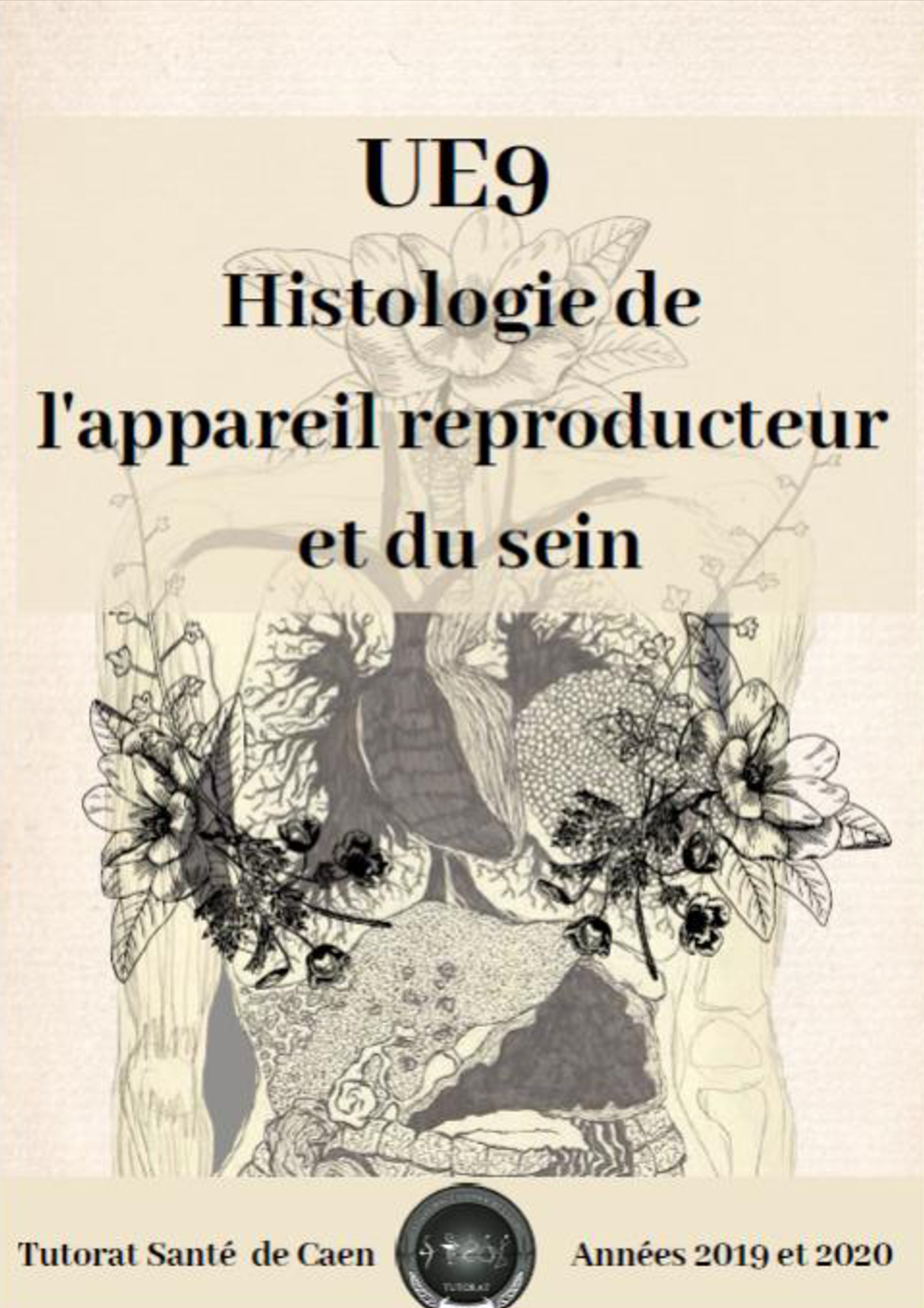 Ue9 Histologie De Lappareil Reproducteur Et Du Sein 2019 2020 Atsc 164p Copie Studocu