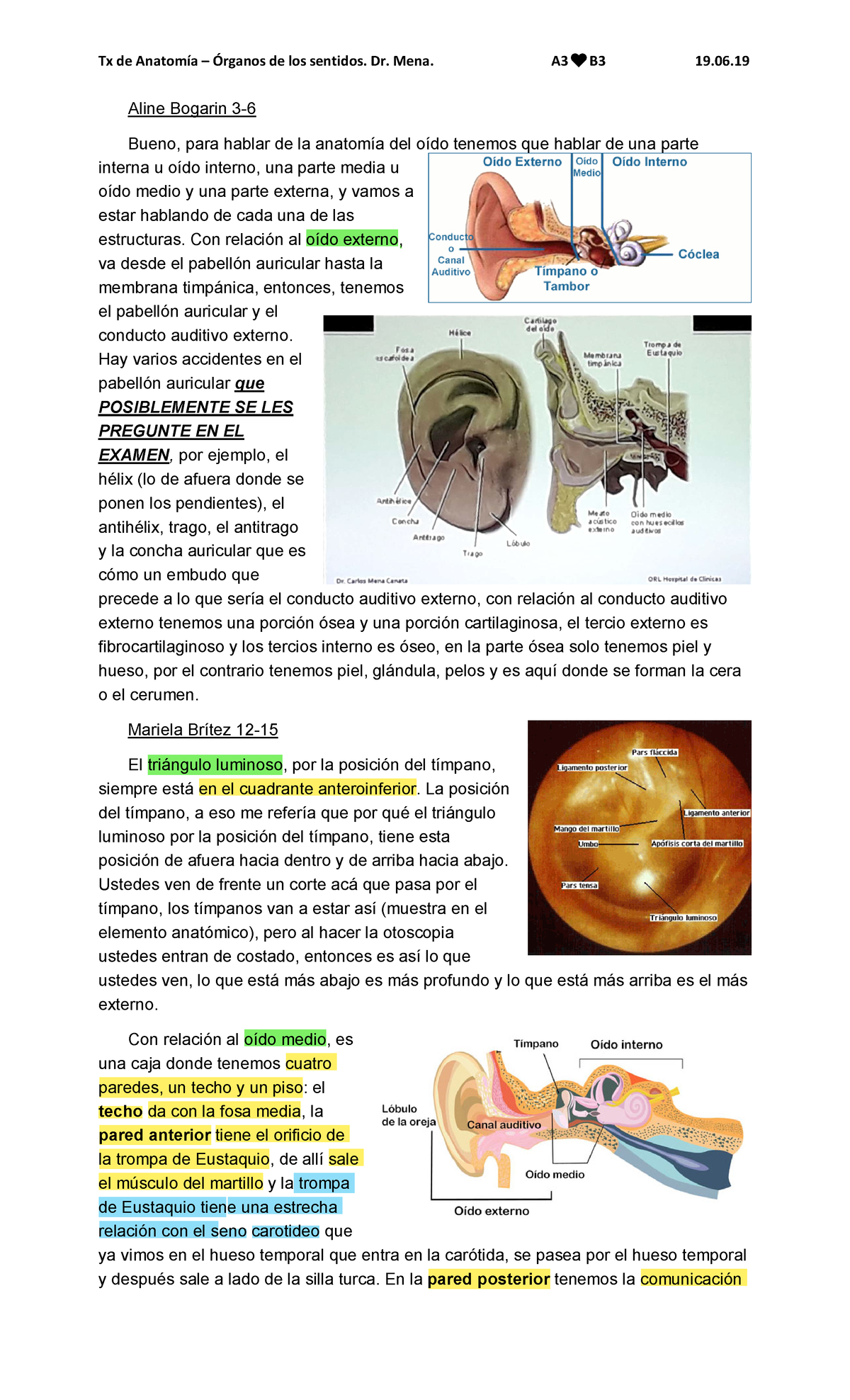 paredes del oido medio