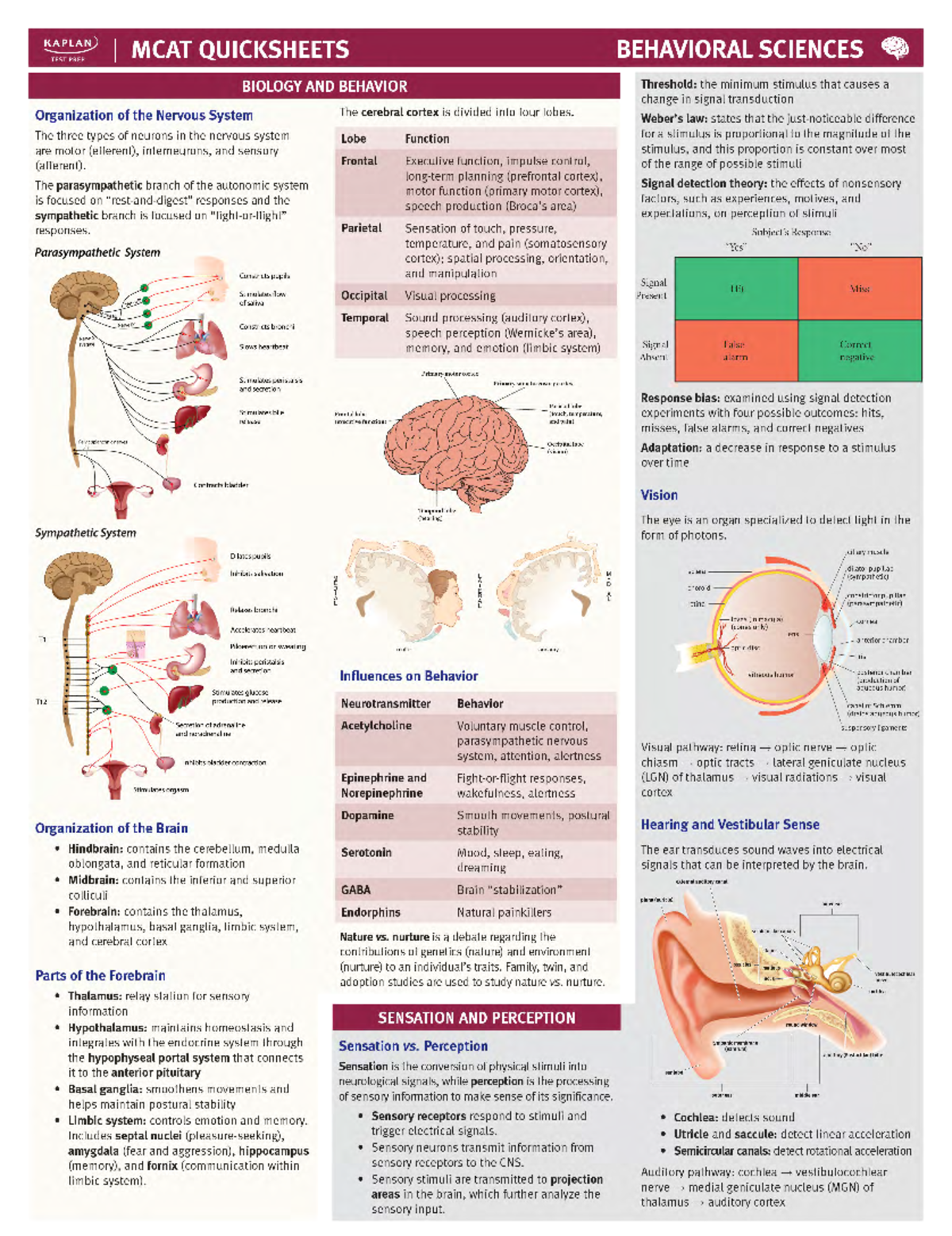 Ktp-mcat-quicksheets - ####### Memory Human Memory Sensory Memory Short ...