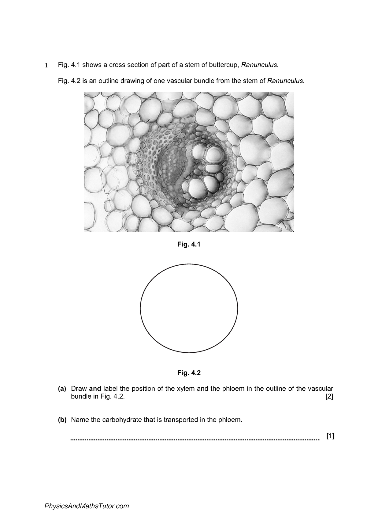 Gas Exchange in Humans 2 Question paper - 1 Fig. 4 shows a cross ...