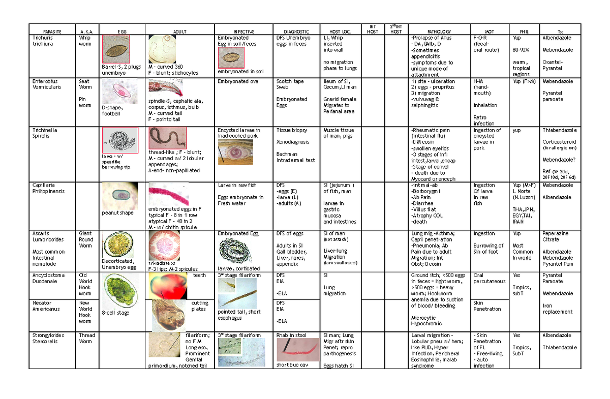315882727-Parasitology-Table-Review-3 - PARASITE A.K. EGG ADULT ...