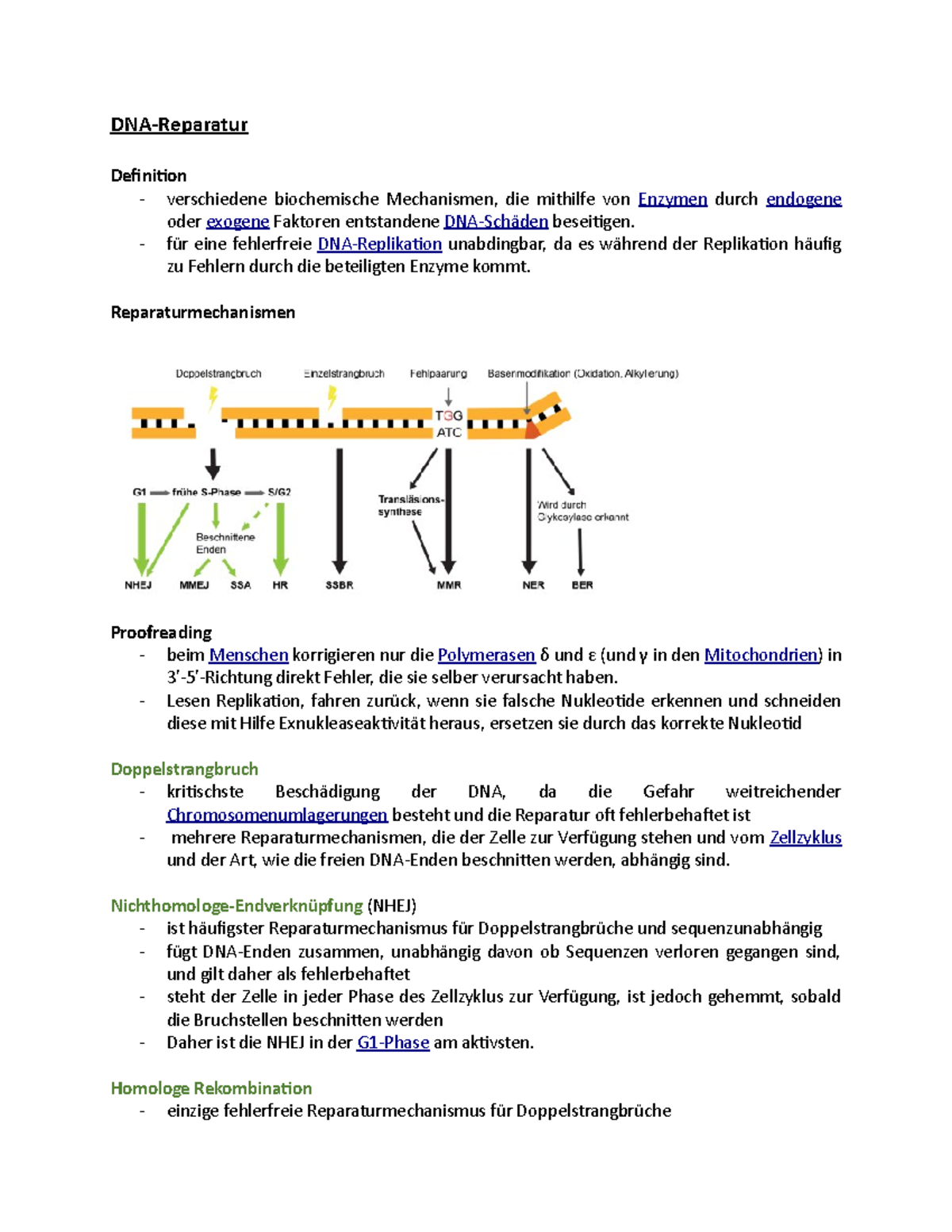 DNAReparatur Zusammenfassung DNA Reparatur DNAReparatur