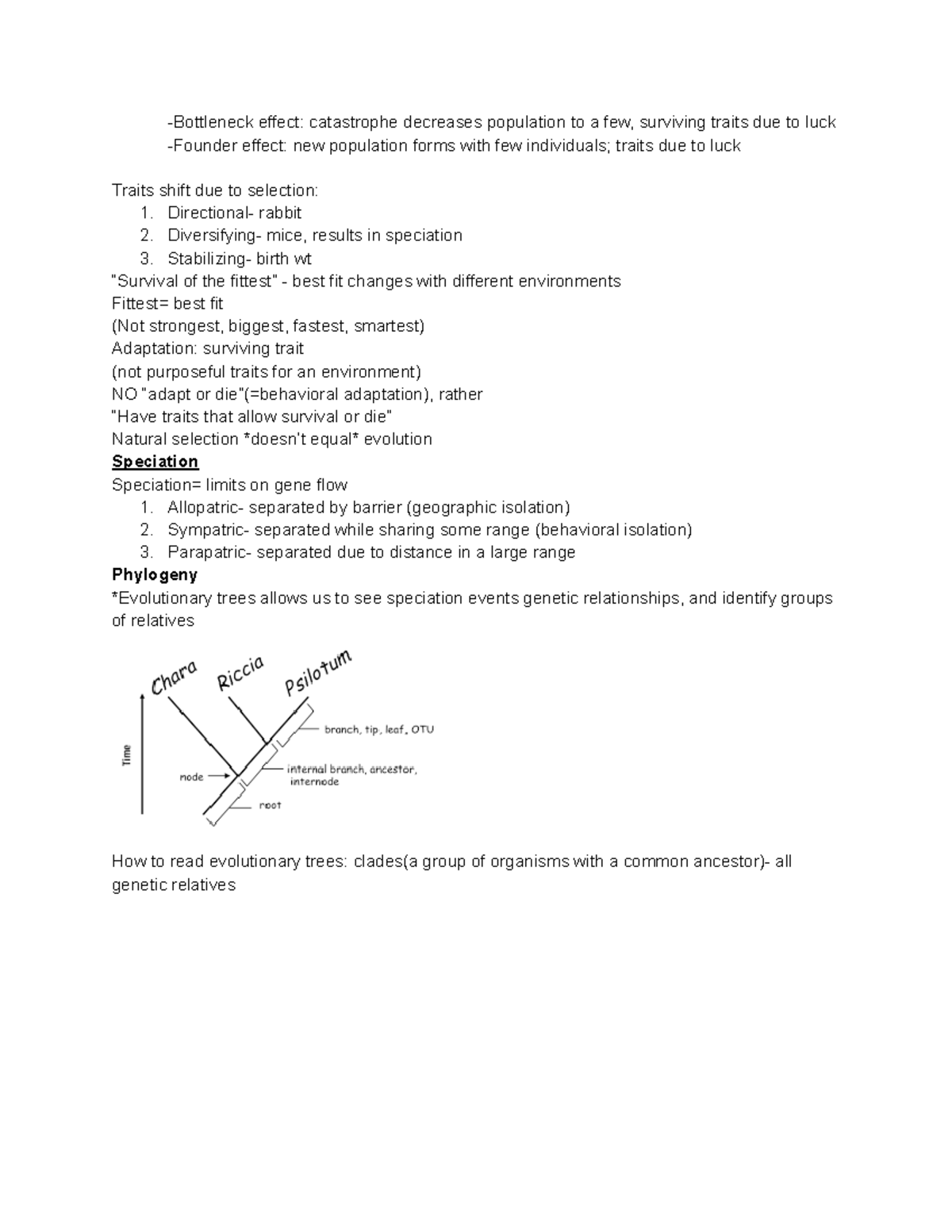 Genetics Notes 4 -Bottleneck effect: catastrophe decreases population ...