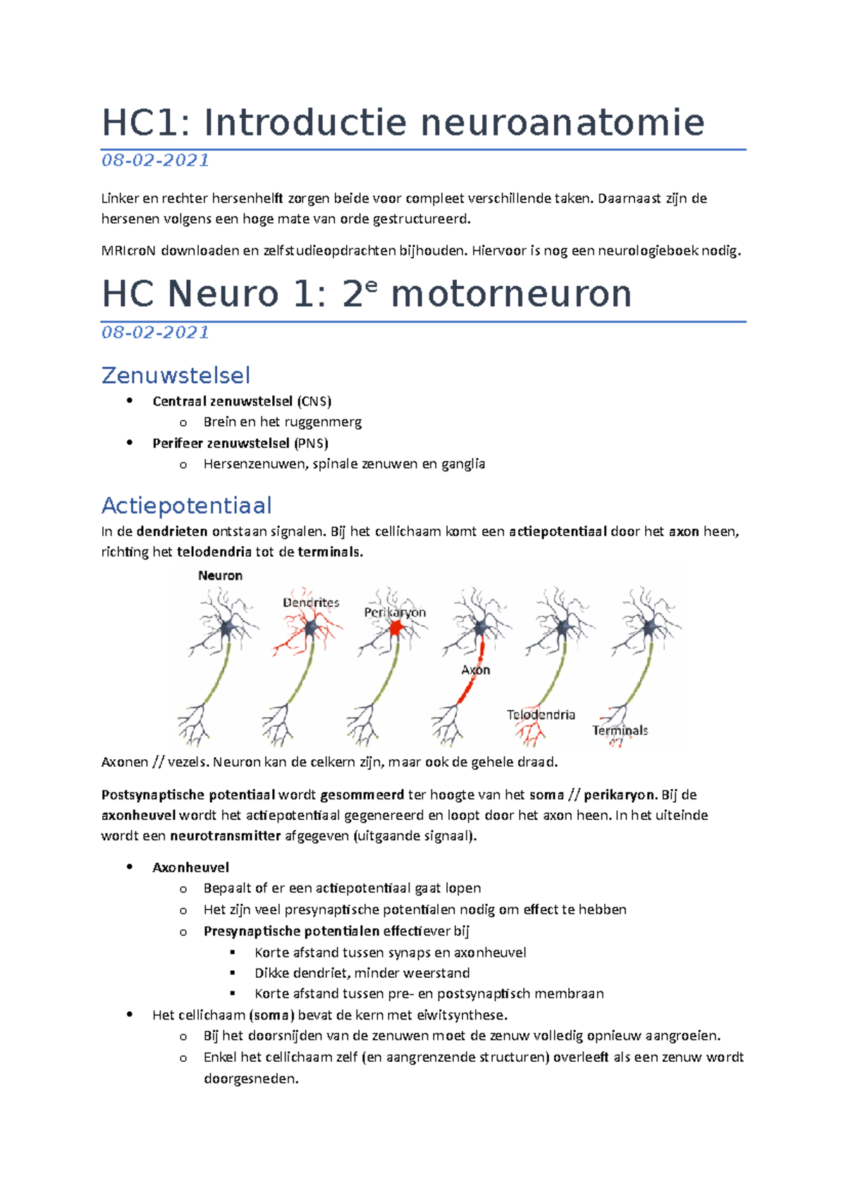 HC Zenuwen Zintuigen En Signalen HC1 Introductie Neuroanatomie 08