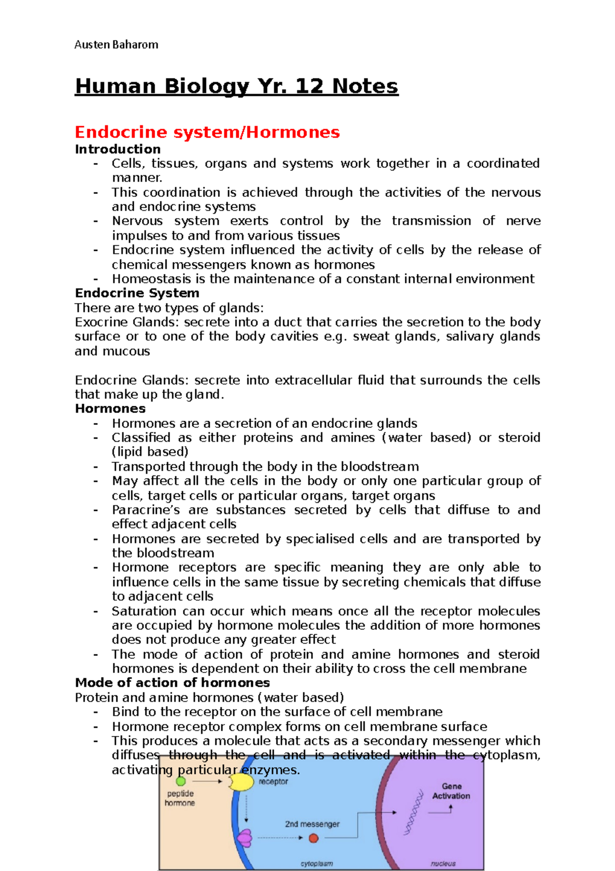 Human Bio Yr. 12 - just notes - Human Biology Yr. 12 Notes Endocrine ...