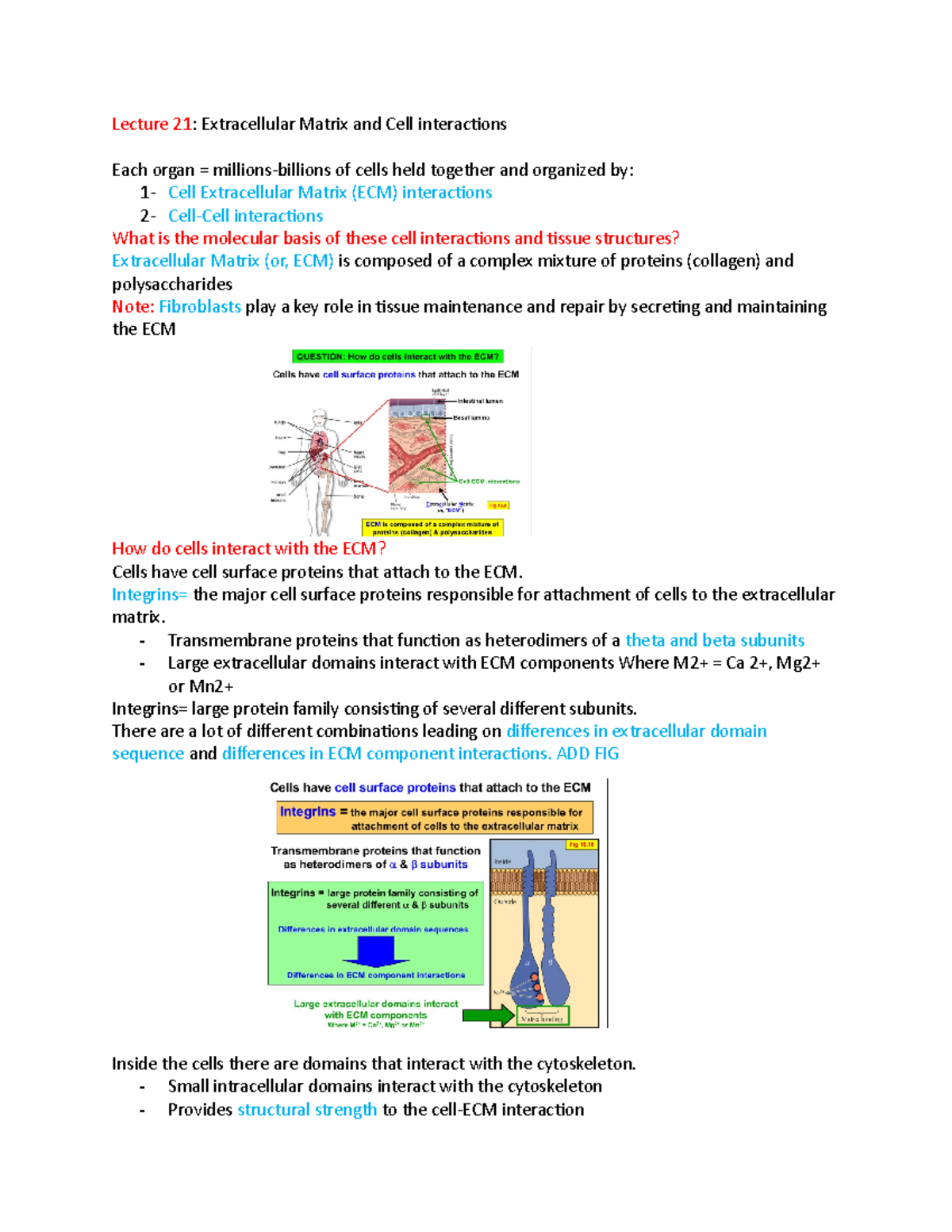 Lecture 21. 22 and 23 copy - Lecture 21: Extracellular Matrix and Cell ...