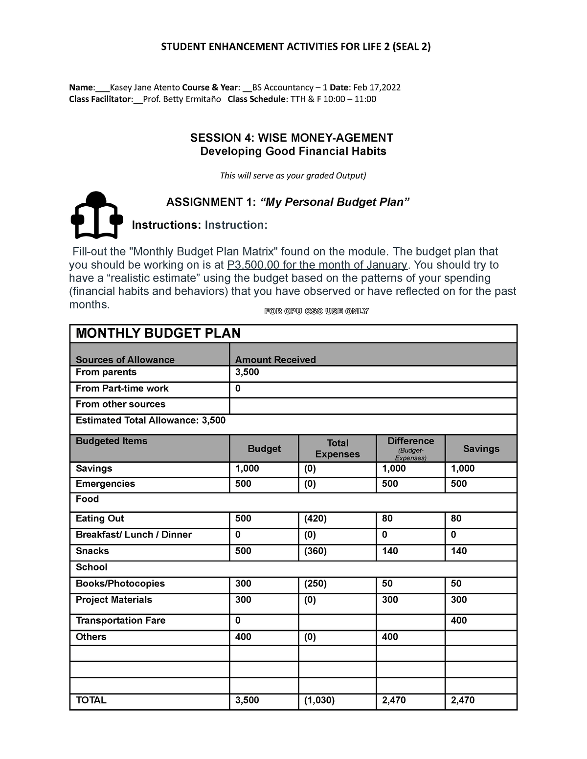 my budget assignment