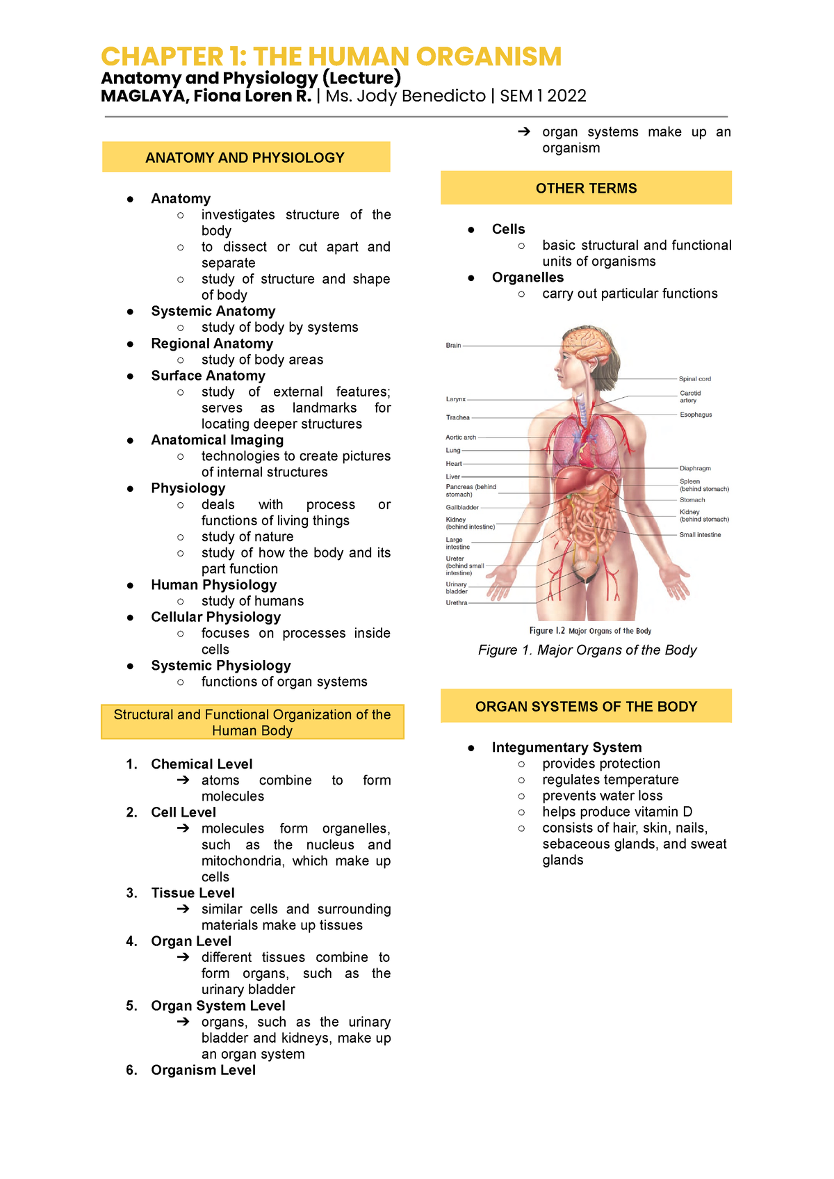 Anaphy 1 Chapter 1 The Human Organism Chapter 1 The Human Organism Anatomy And Physiology 0480