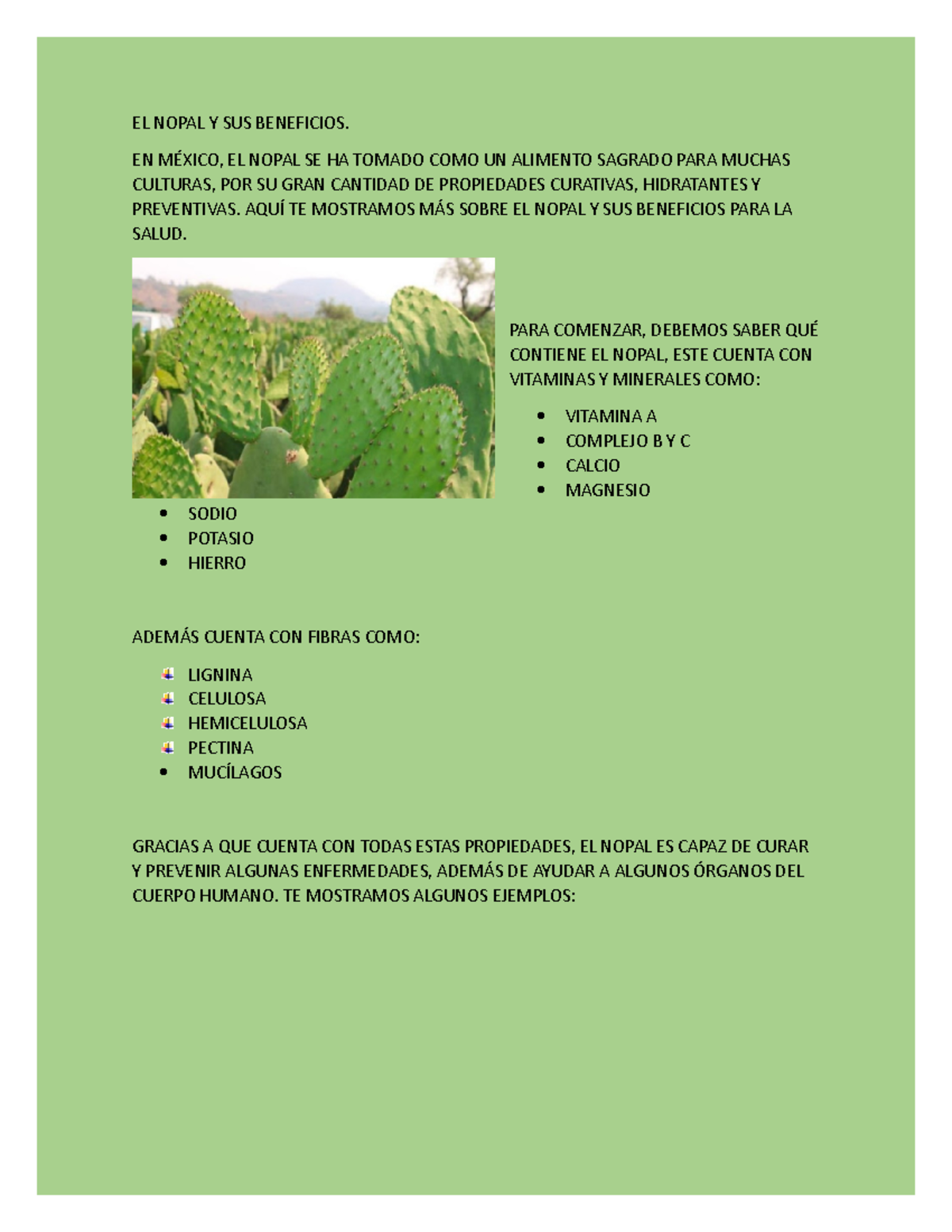 El Nopal Y Sus Beneficios EL NOPAL Y SUS BENEFICIOS. EN MÉXICO, EL