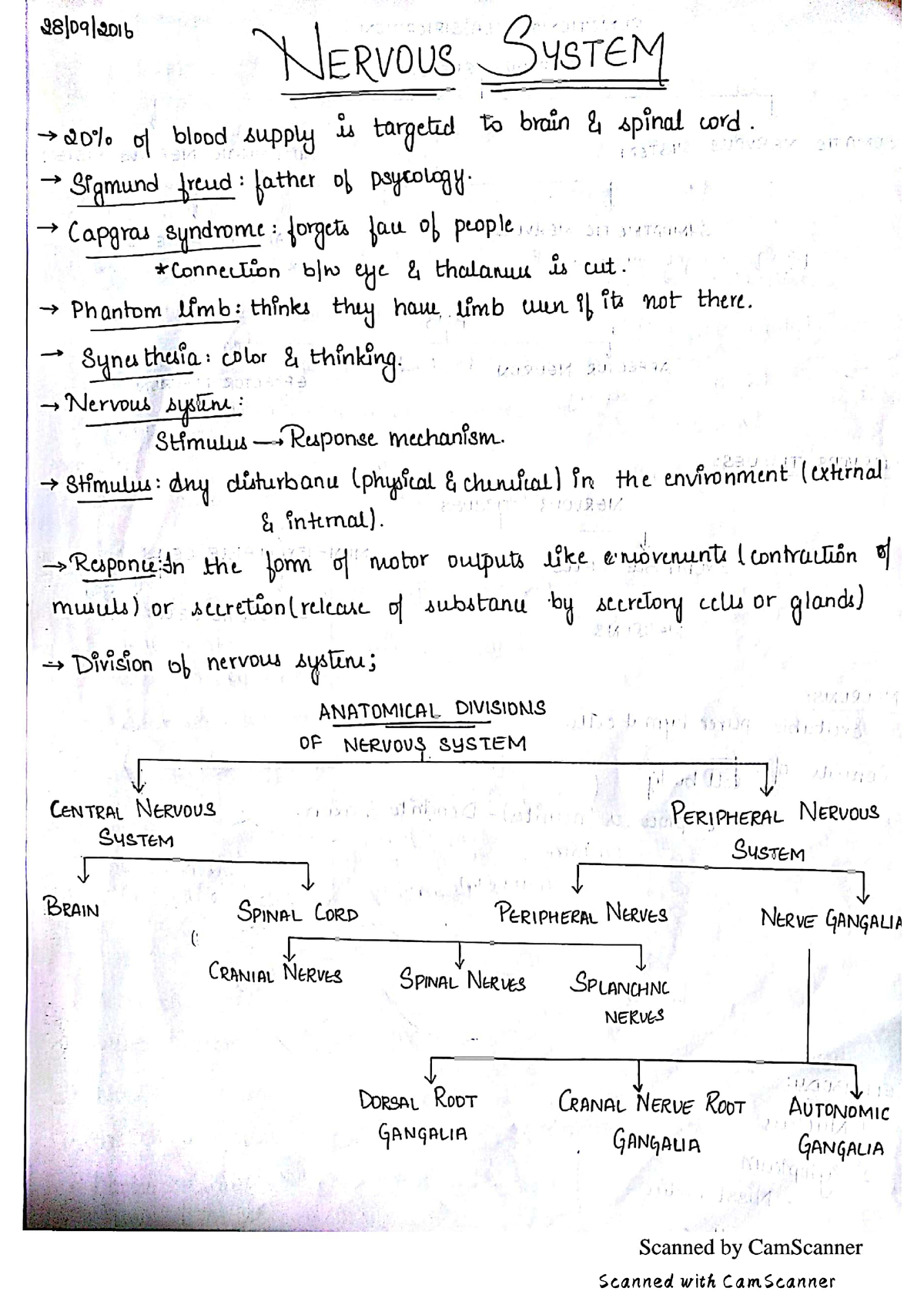 Nervous system Neuro Anatomy first year BAMS Bachelor of