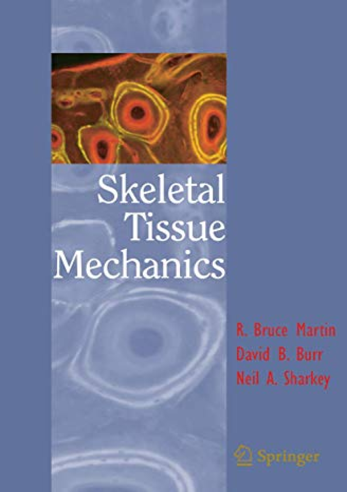 Read Book Skeletal Tissue Mechanics - Skeletal Tissue Mechanics ...