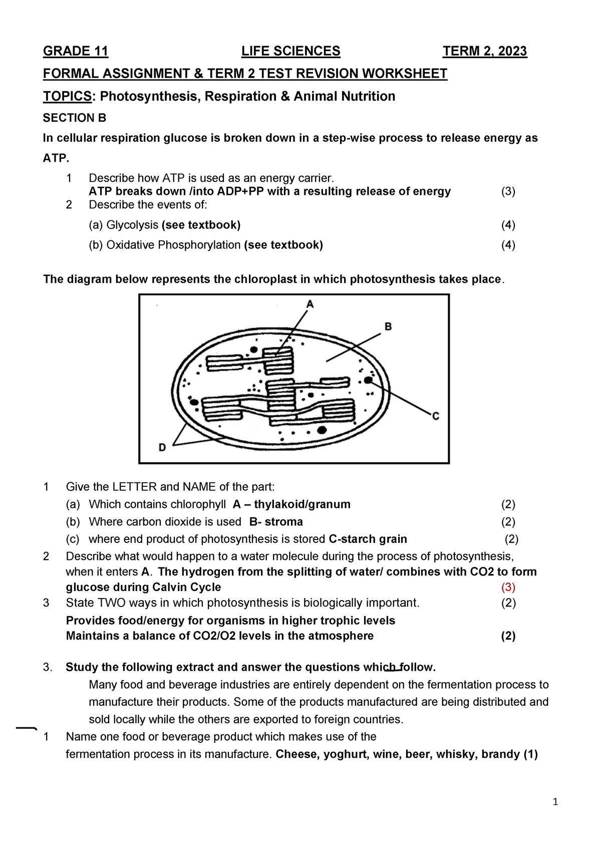 grade 11 life science assignment term 2 2022