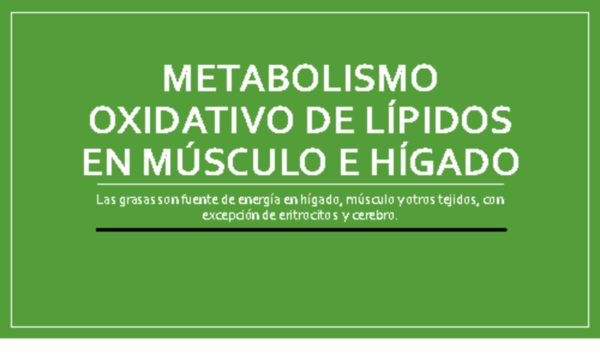 13 Metabolismo oxidativo de lípidos en músculo e hígado - METABOLISMO ...