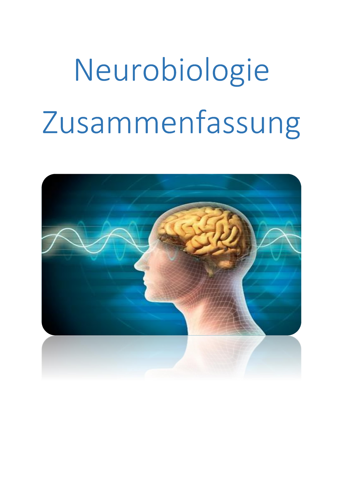 Neurobiologie Zusammenfassung Bau Und Funktion Eines Neurons