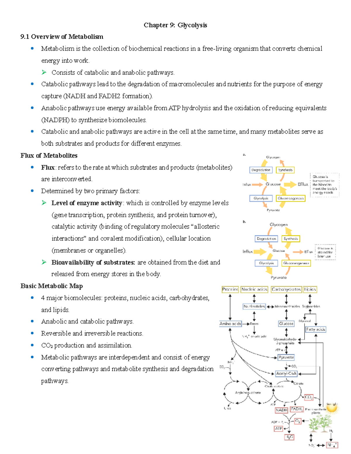 CH 9 Summary - Chapter 9: Glycolysis 9 Overview of Metabolism ...