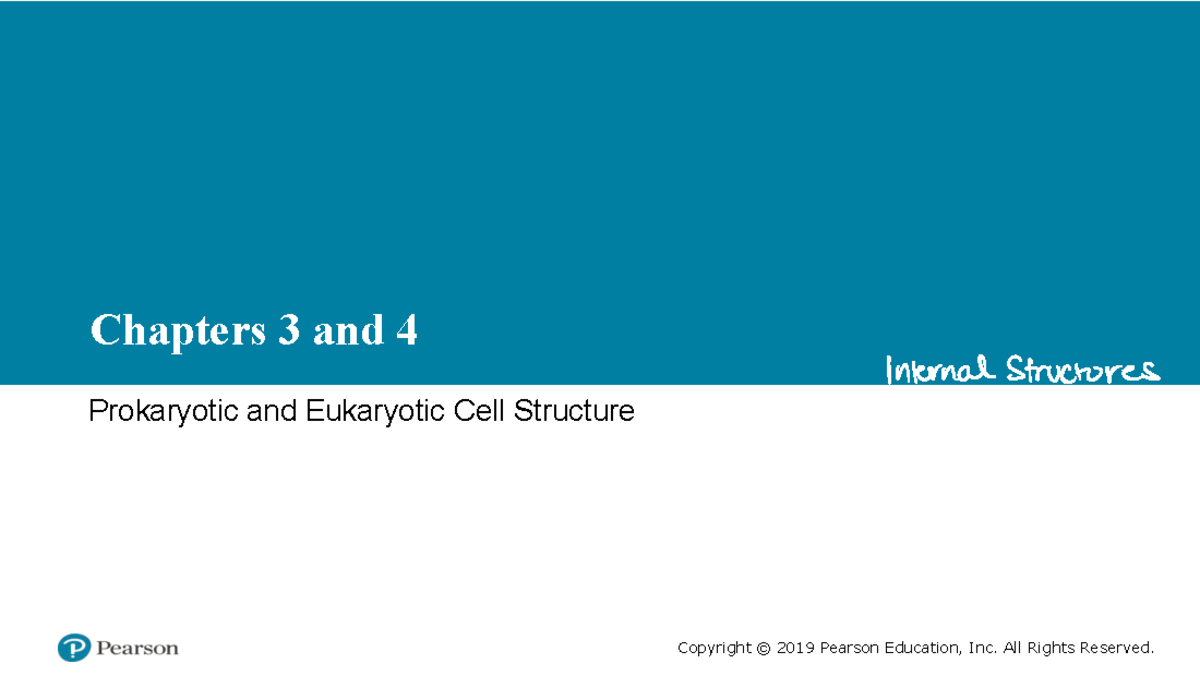 BMS 90: Lecture 3 Prokaryotes and Eukaryotes - Chapters 3 and 4 ...