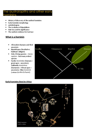 Primate Evolution - First monkeys Evolution of colour vision Emergence ...