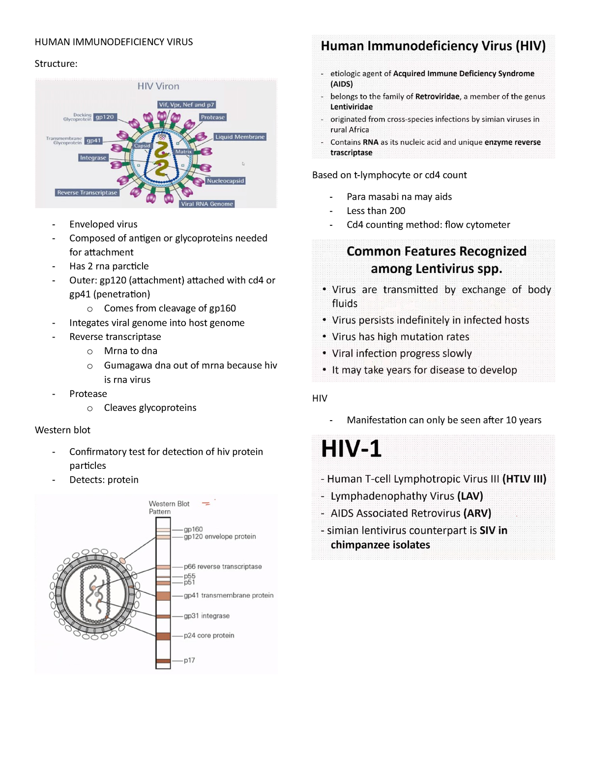 case study human immunodeficiency virus answers