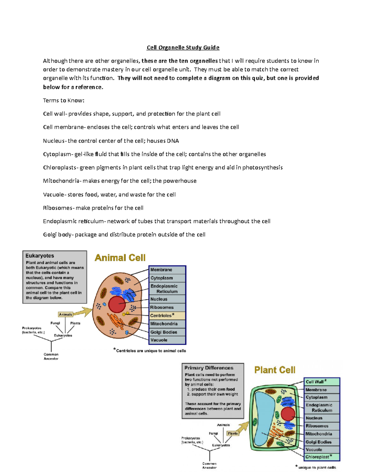 Cell Organelle Study Guide - Cell Organelle Study Guide Although There ...