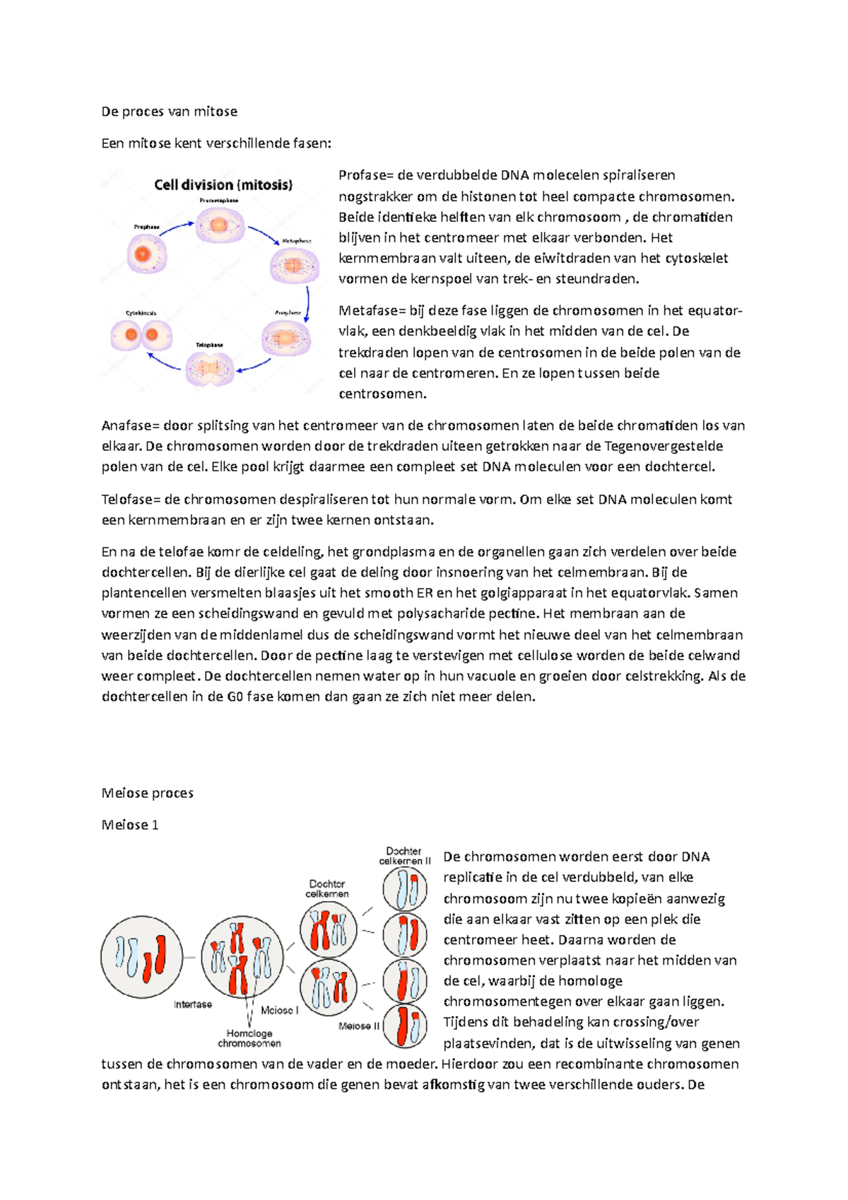 Celcyclus De Proces Van Mitose Een Mitose Kent Verschillende Fasen