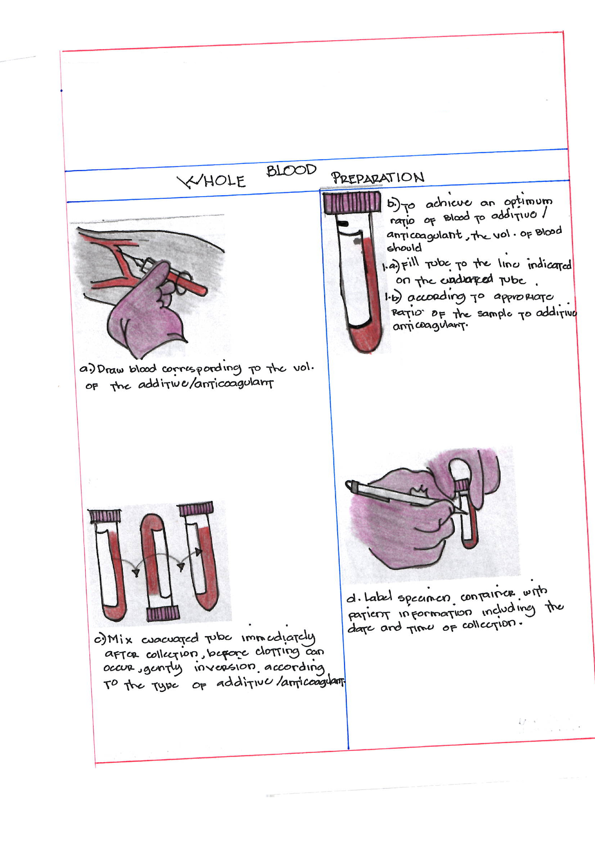 Immhgy 1 Blood Component Preparation Blood Banking Studocu