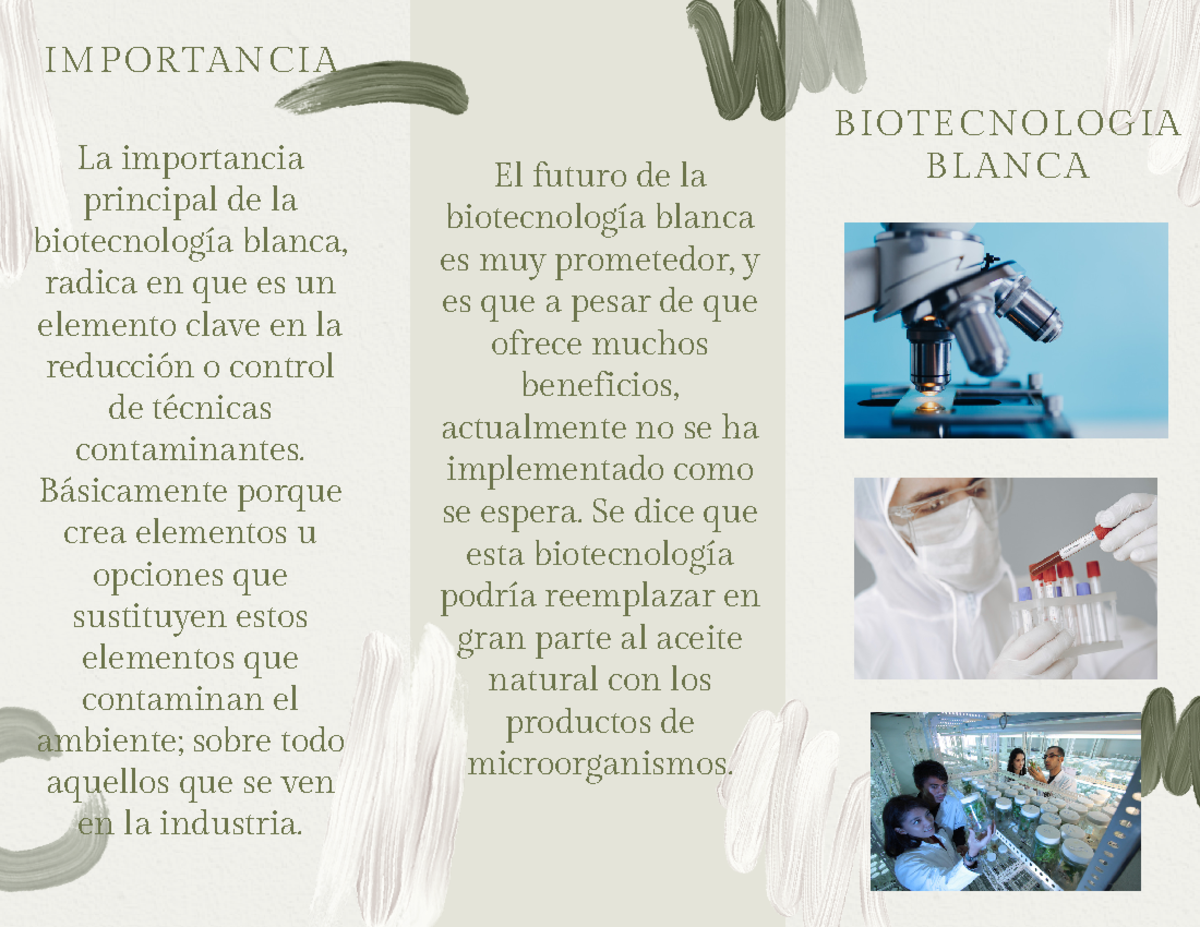 Que Es La Biotecnologia Blanca Shop | cdlguaiba.com.br