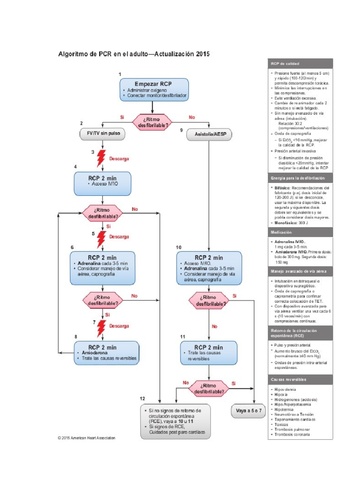 Algoritmos AHA 2015 - AHA - Algoritmo de PCR en el 2015 RCP de calidad ...