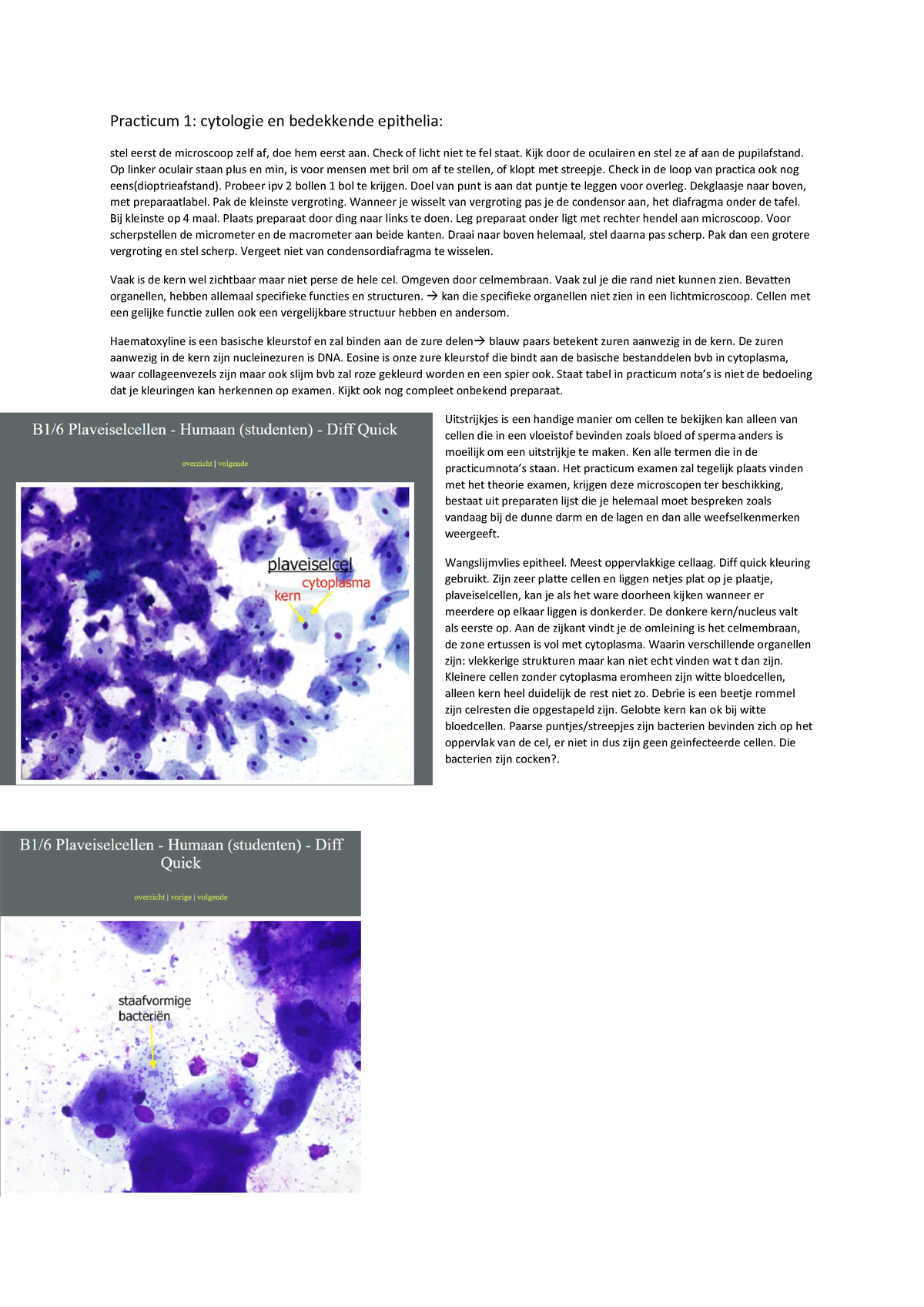 Cel En Weefsel Practica - Practicum 1: Cytologie En Bedekkende ...