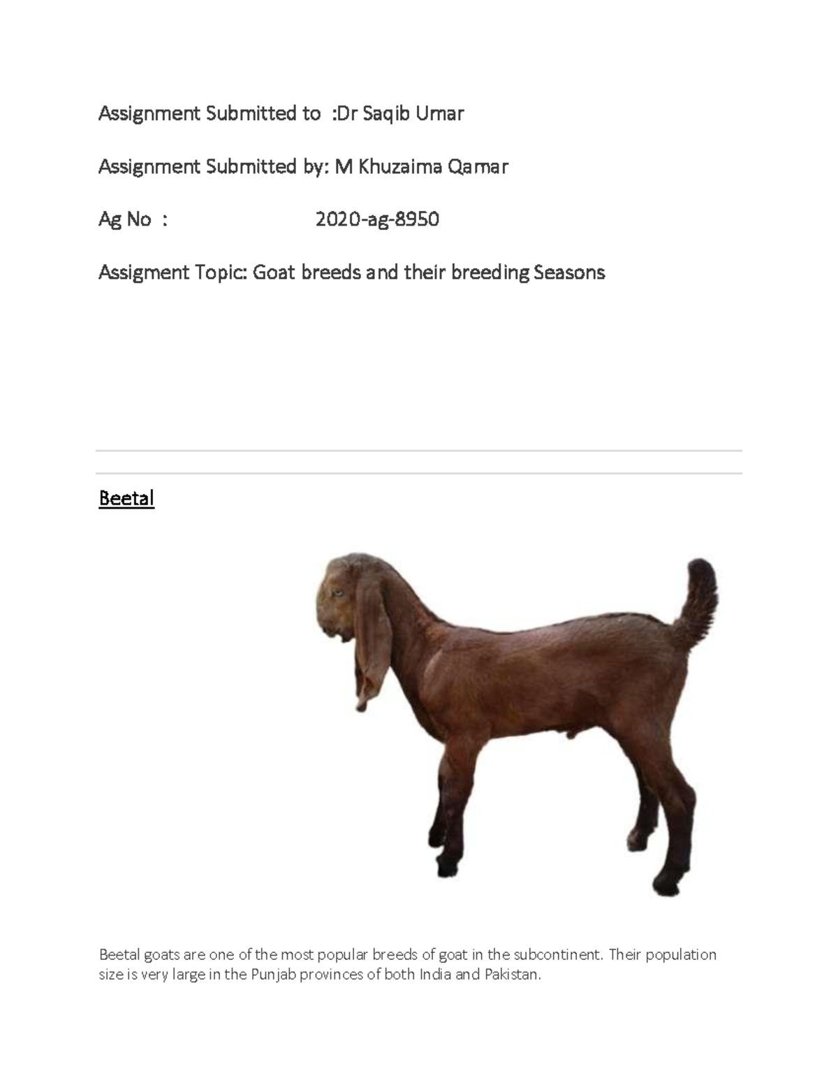 2020ag8950 Goat breeds and their breeding seasons Assignment Submitted to Dr Saqib Umar