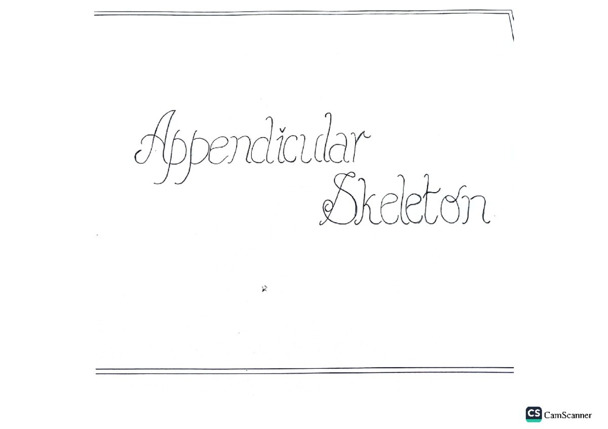 Appendicular Skeleton - Appearable Skeleton CS Appearable Skeleton CS ...