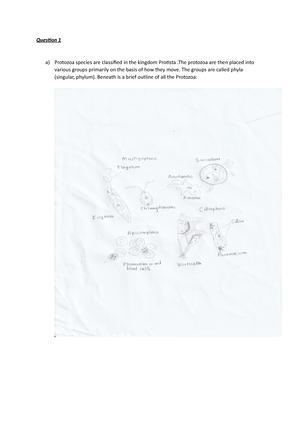 [Solved] Provide A Detailed Explanation Of The 2 Types Of Movements ...