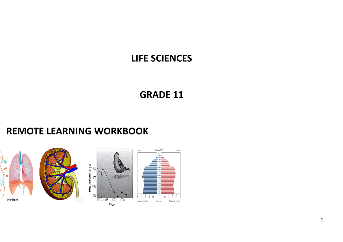 life science grade 11 assignment term 3