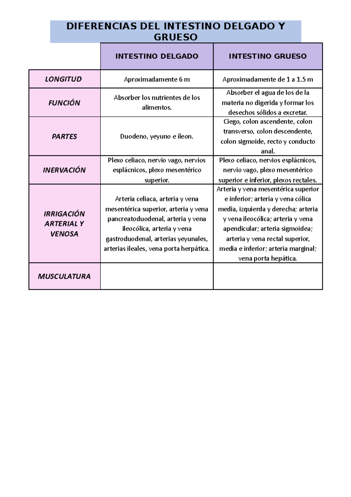 el-moderno-prometeo-histolog-a-b-sica-del-intestino-delgado