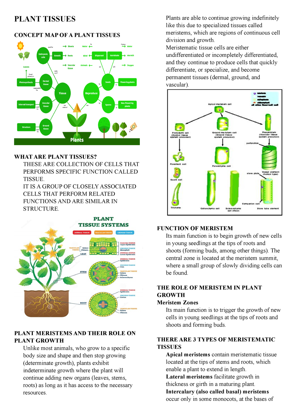 botany-plant-tissues-plant-tissues-concept-map-of-a-plant-tissues