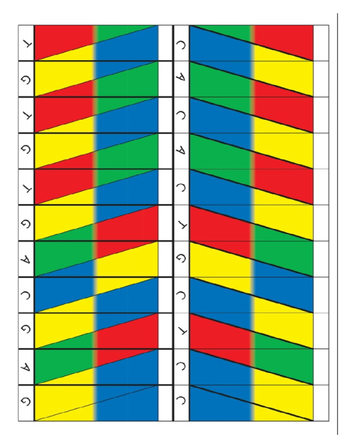 Origami-DNA - Sts - BS Accountancy - Studocu