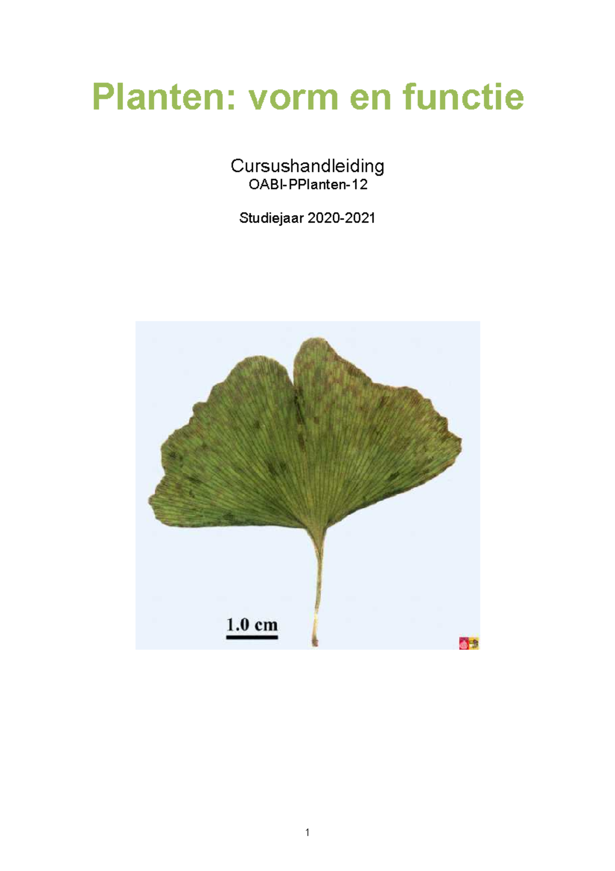 2021- Cursushandleiding Planten Vorm En Functie - Planten: Vorm En ...